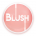 Blush_Studio
