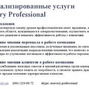 Допjлнительныt возможности Mercury Professional