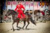 На Киевщине пройдет турнир конных лучников