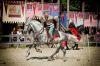 Киевщина примет Фестиваль конных боевых искусств